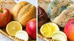 Liste des aliments à ne pas laisser au chaud