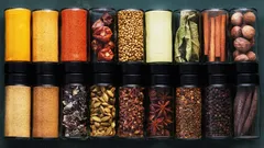 S’il n’y a pas ces épices dans votre cuisine, cuisiner devient plus compliqué que nécessaire