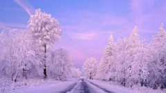 Pourquoi la neige ne change pas seulement le paysage, mais aussi les sons autour de nous